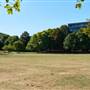 Paradise Park (and football pitch)