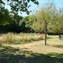 Paradise Park (and football pitch)