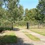 Middlesex Filter Beds Nature Reserve