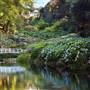 Trebah Gardens