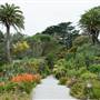 Tresco Abbey Gardens