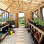 Newquay Community Orchard