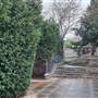 Isledon Gardens