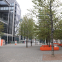 Wembley squares