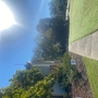 Christ Church Episcopal