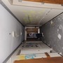 Spray Painted & Abandoned