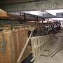 Frozen Subterranean