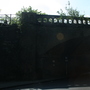 Thicket Road