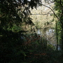 West Wickham Common and Hayes Common