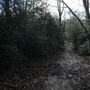 West Wickham Common and Hayes Common