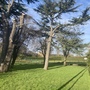Alexandra recreation ground