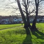 Crease Park