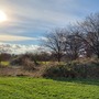 Clayton Hill