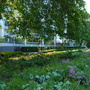 Potters Fields Park