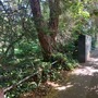 College Slip Alleyway