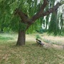 Duke's Meadows