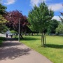 Chiswick Common