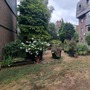 Elmwood COurt