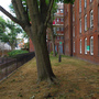Caledonian Road Estate