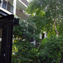 Quaker Court