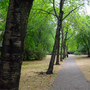 King Square Gardens