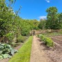 Kitchen Garden (Chiswick House & Gardens)