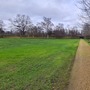 Cherry Orchard & Walled Garden (Chiswick House & Gardens)