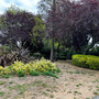 Bruce Castle Park