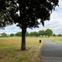 White Hart Lane Recreational Ground