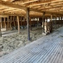 Jacob's Farm