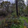 Havering Country Park