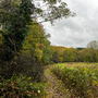 Havering Country Park