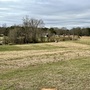 Prospect Farms