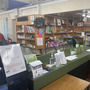 Mottingham Library