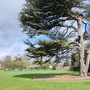 Strawberry Hill House - Exteriors