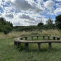 Waterworks Nature Reserve