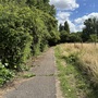 Waterworks Nature Reserve