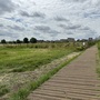 Walthamstow Marshes