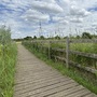 Walthamstow Marshes