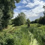 Cornmill Meadows & Wood