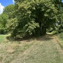 Cornmill Meadows & Wood