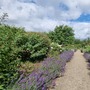 Waltham Abbey Gardens