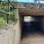 Waltham Abbey Tunnel