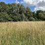 Britannia Meadows