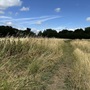 Britannia Meadows