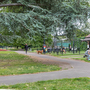 Canbury Gardens