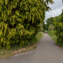 Kingston Cemetery and Crematorium