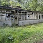 Abandoned Buildings - Former Essex Mill & Factory Site