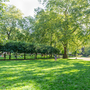 Russell Square Gardens
