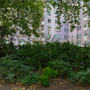 Red Lion Square Gardens